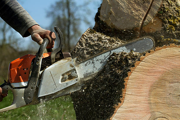 Lawn Grading and Leveling in Norton, OH